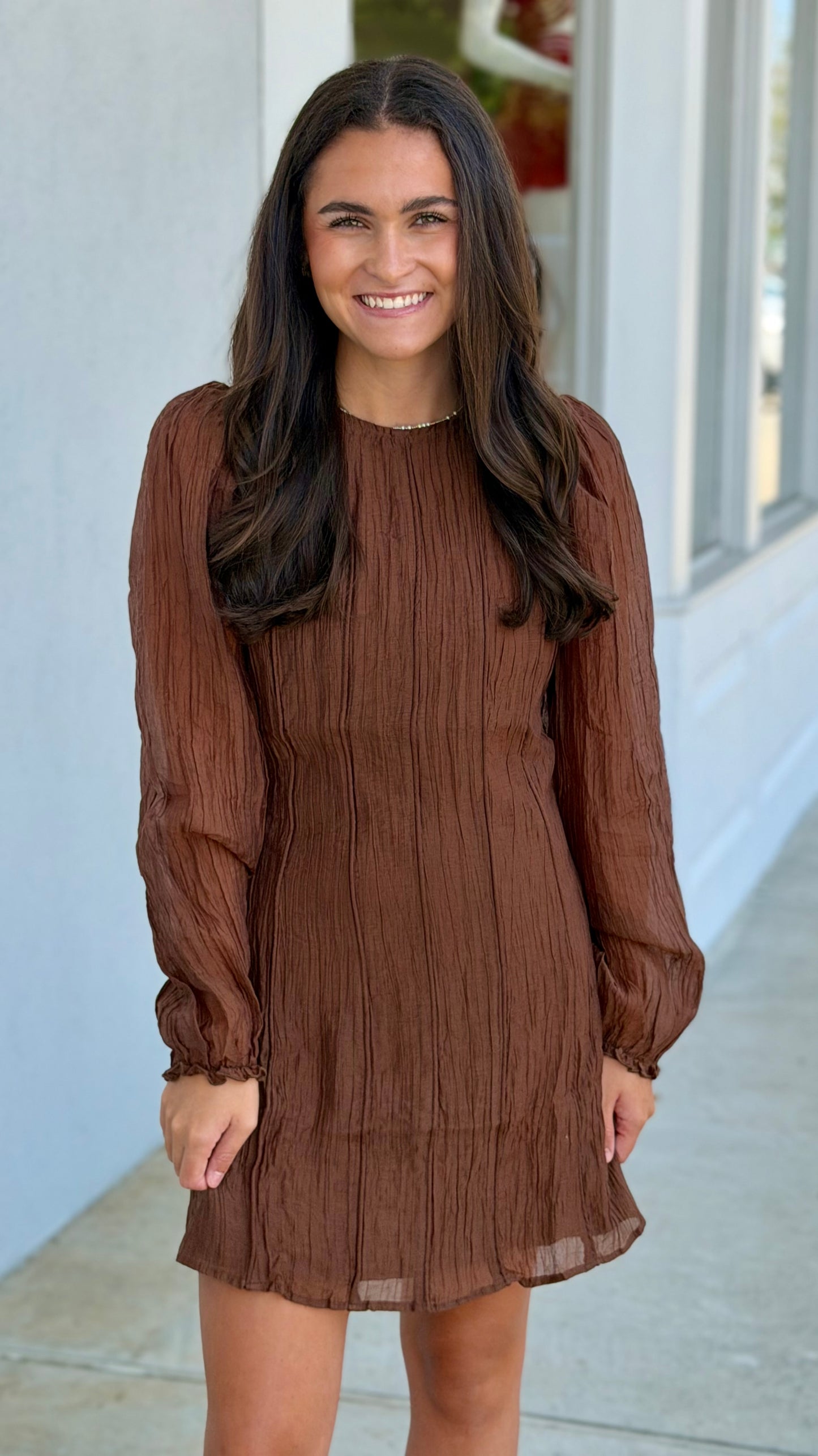 Brown Flare Mini Dress