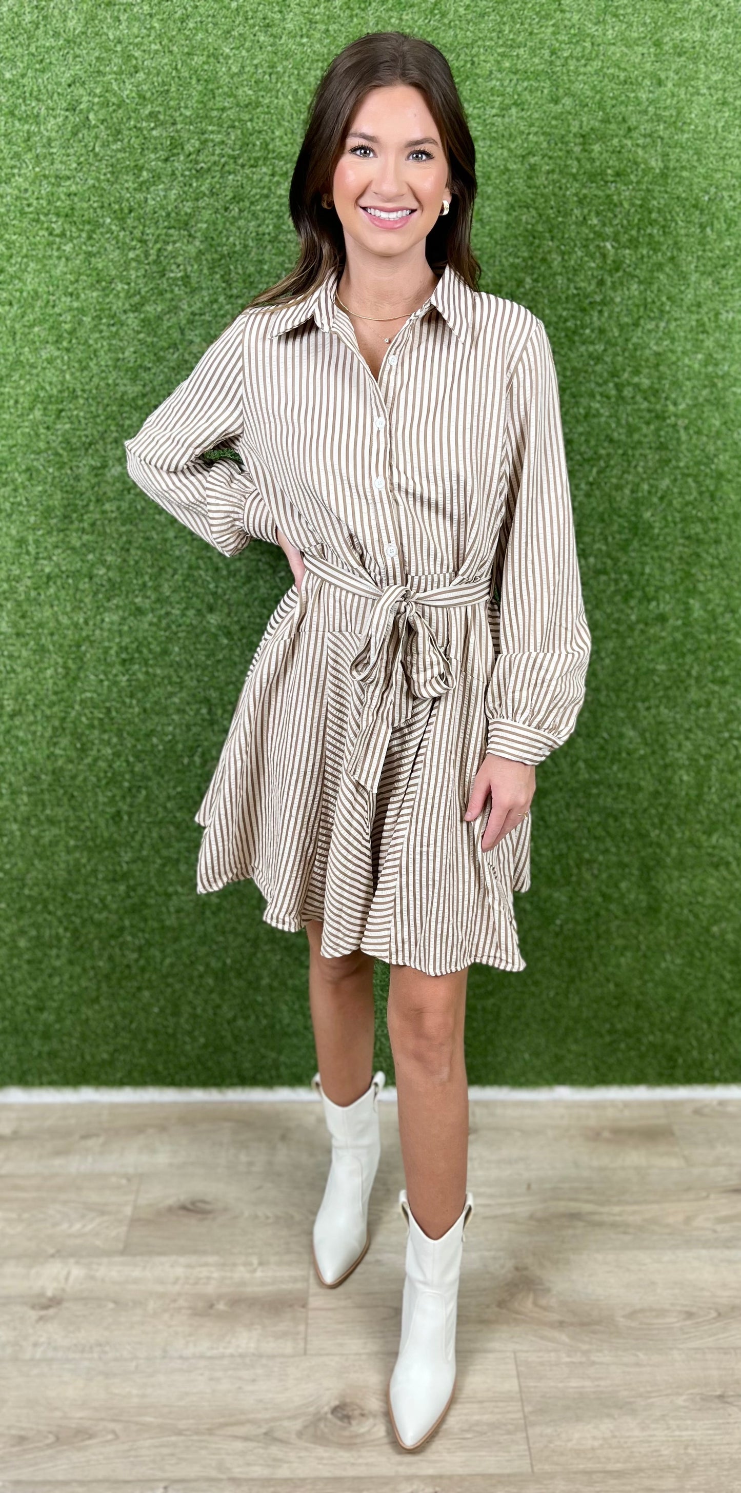 Taupe Button Down Striped Mini Dress