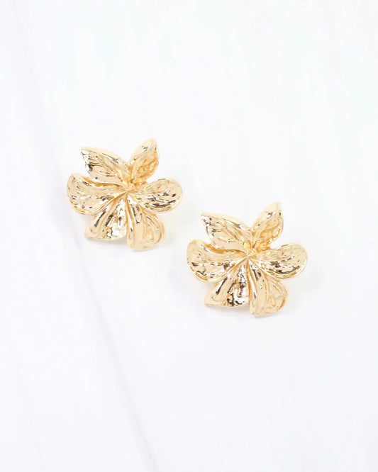 Euclid Flower Post Earrings