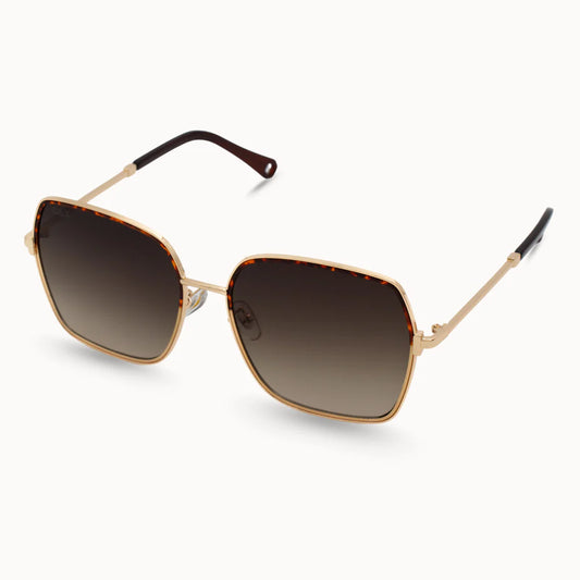 Aspen Brown Sunglasses