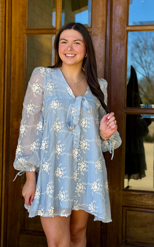 Blue Embroidered Long Sleeve Dress