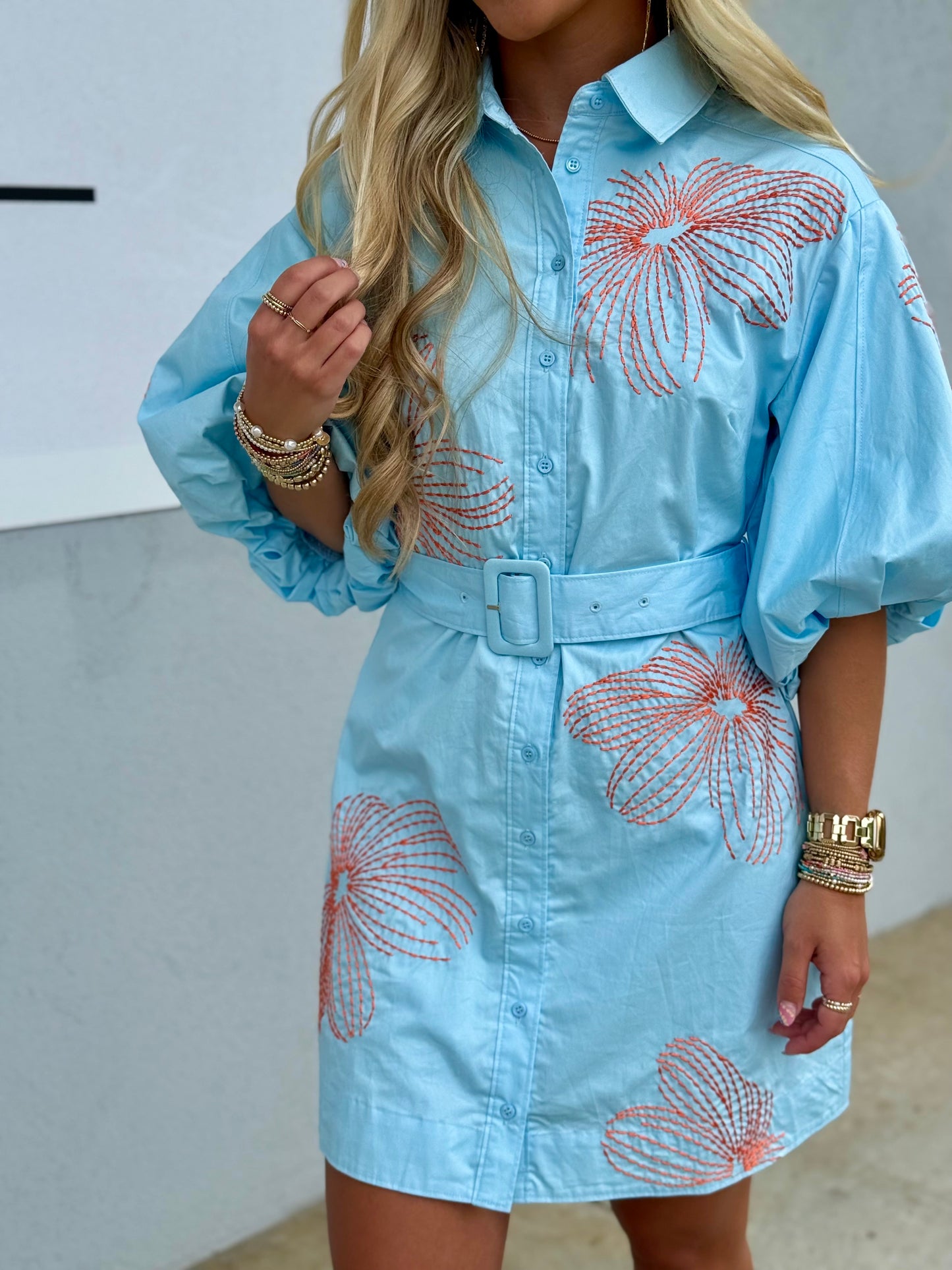 Sky Blue Embroidered Puff Sleeve Belted Dress