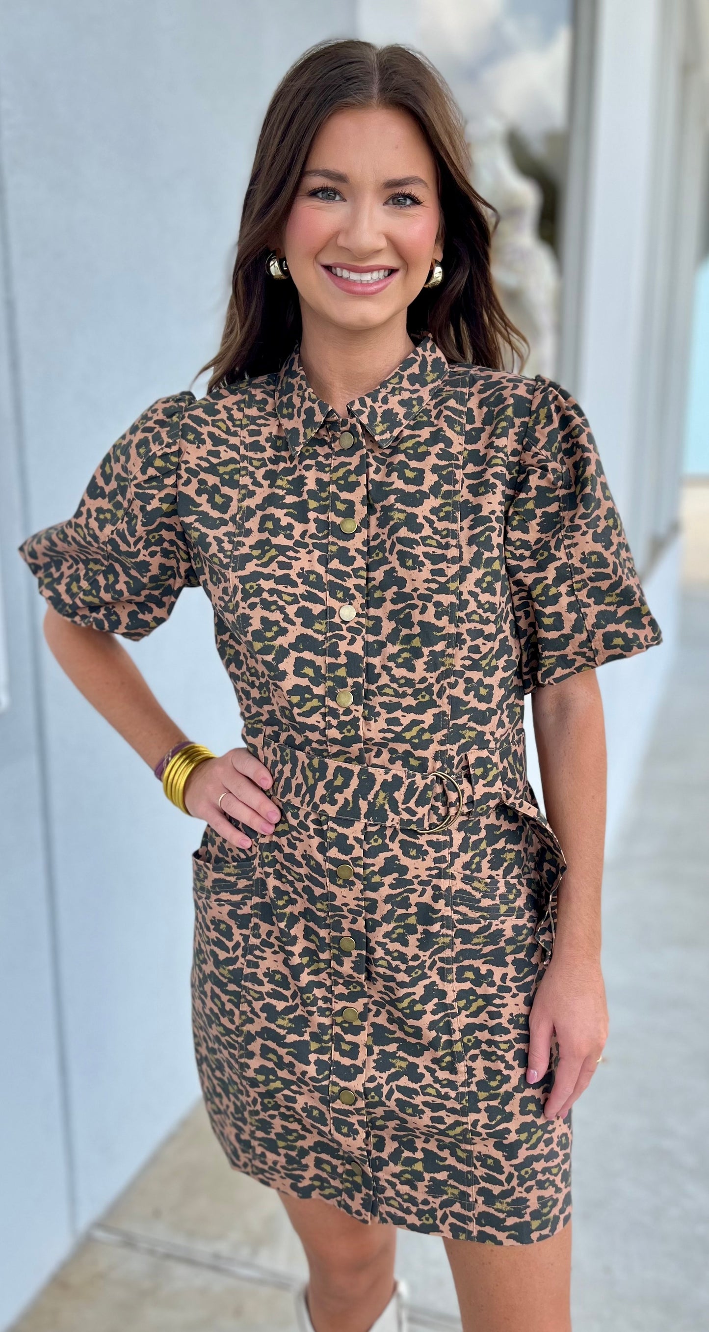 Animal Print Puff Sleeve Belted Dress