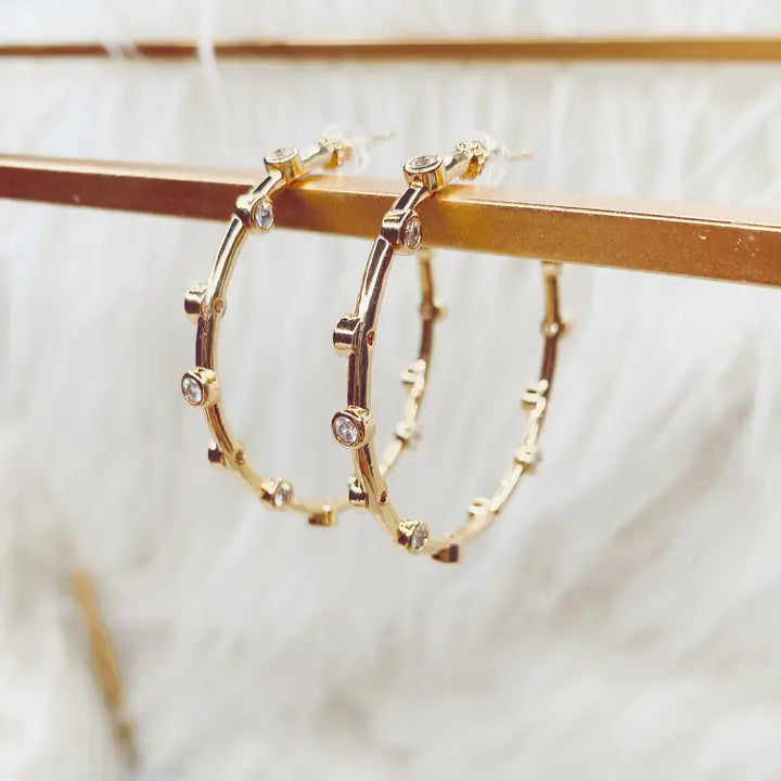 Reagan Hoops TS Earrings