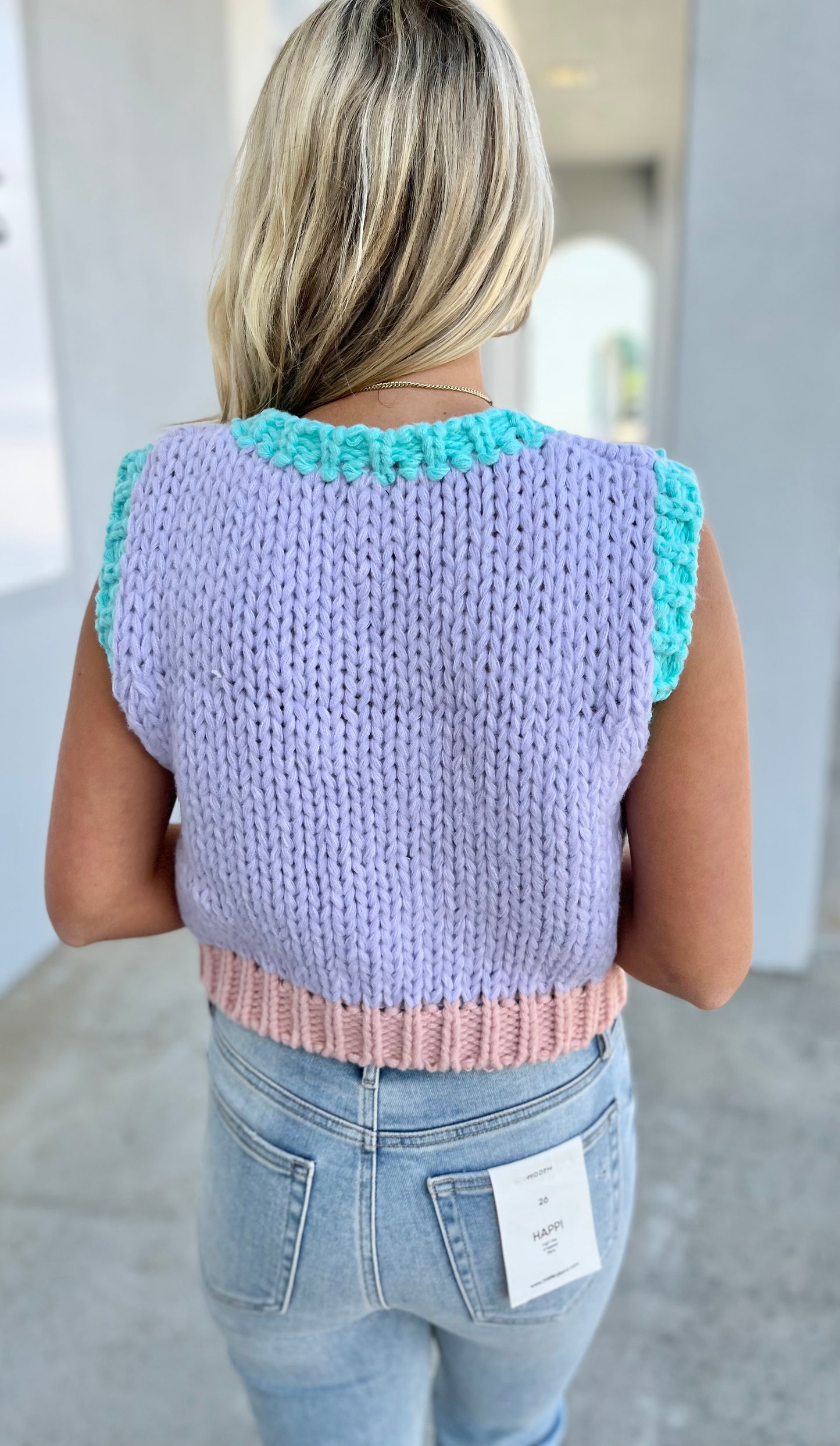 Colorblock Sweater Vest