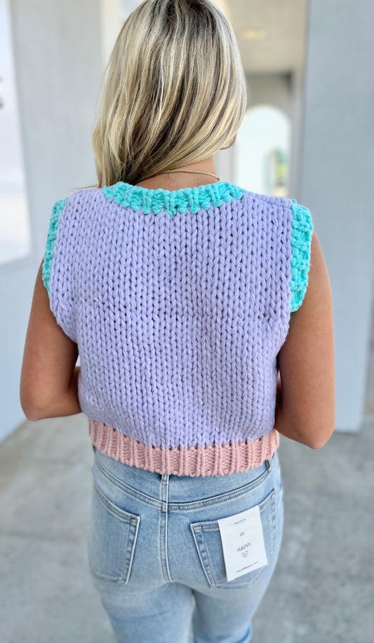 Colorblock Sweater Vest