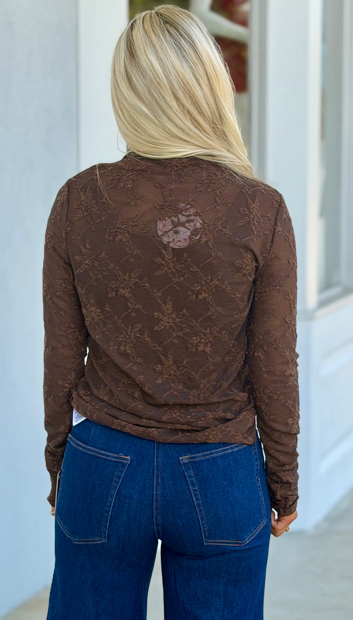 Brown Lace Sheer Top