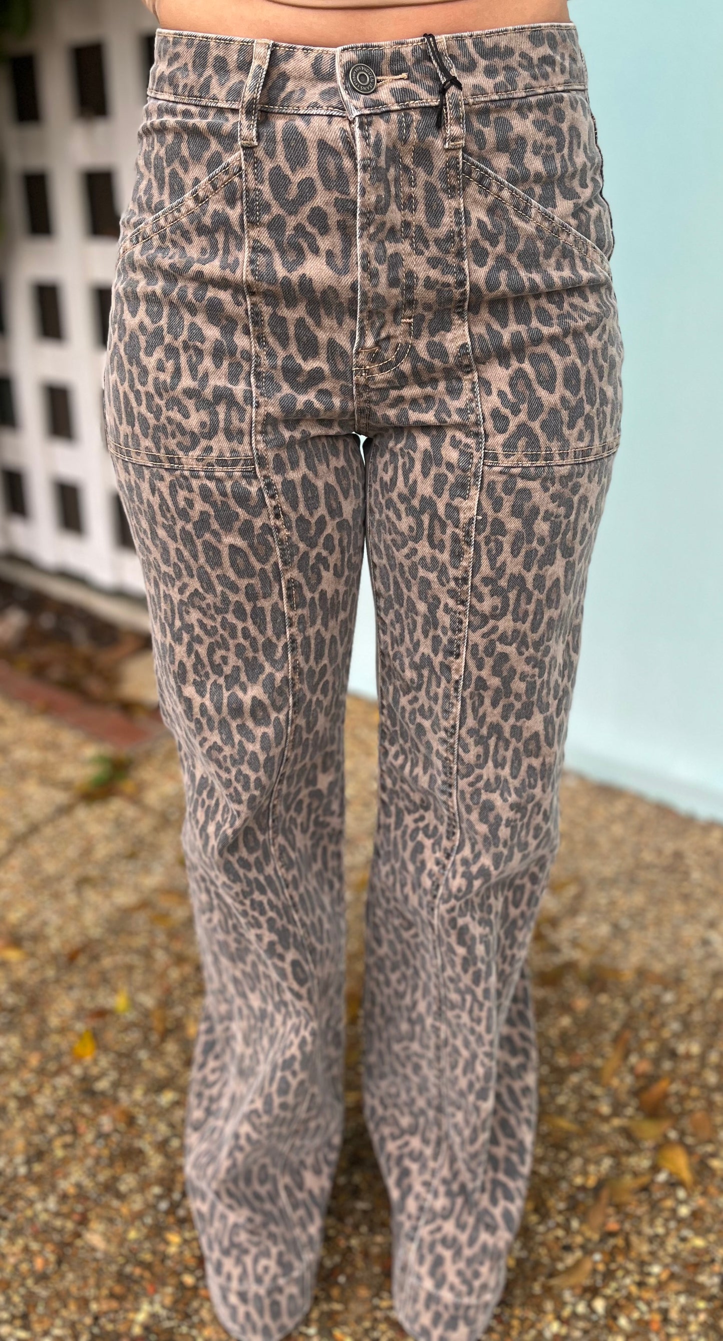 Cheetah Cargo Pants