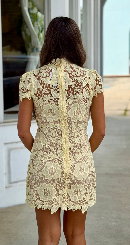 Lace Mini Dress, Butter Yellow