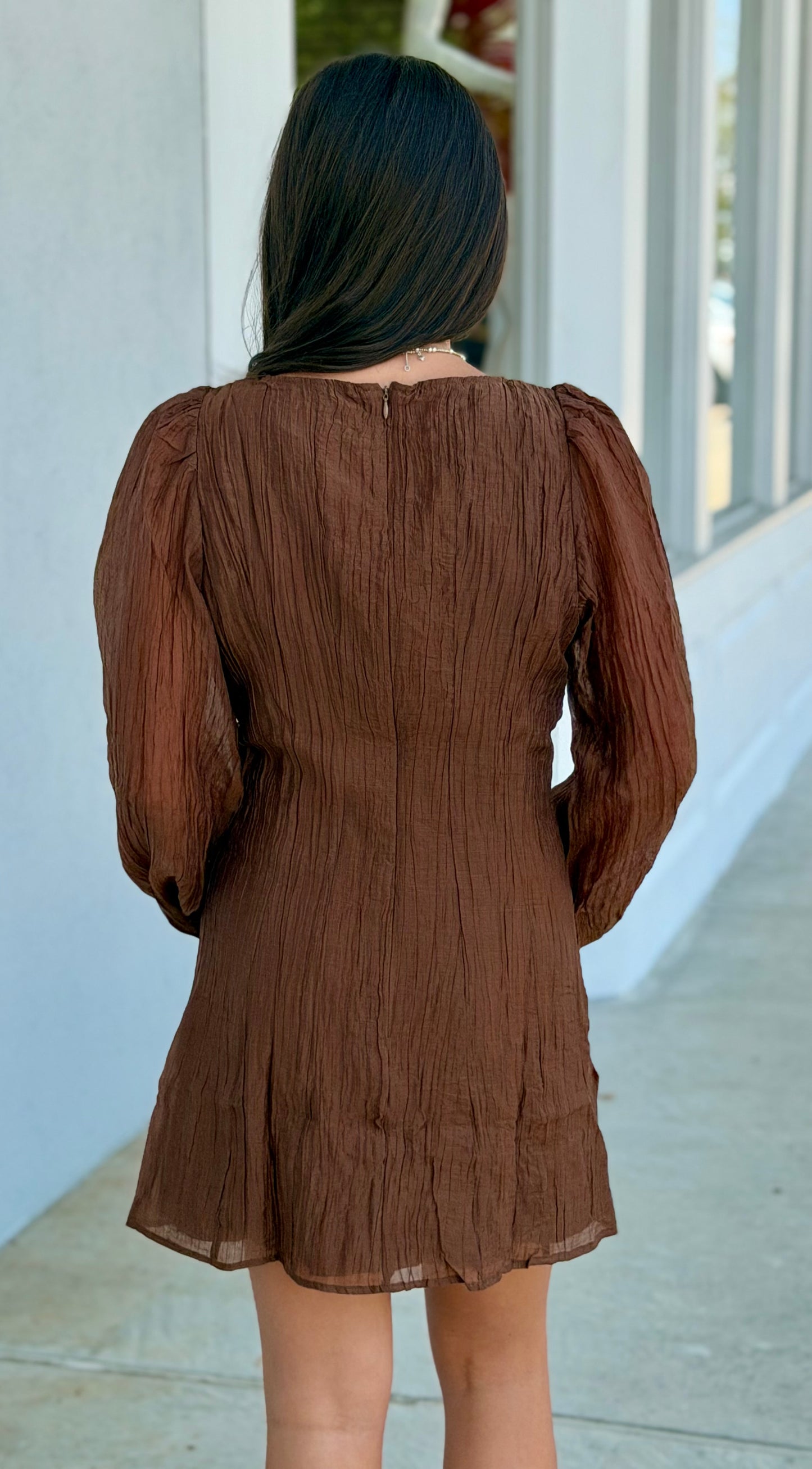 Brown Flare Mini Dress