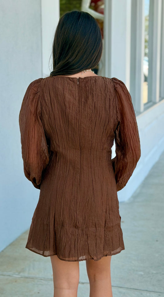 Brown Flare Mini Dress