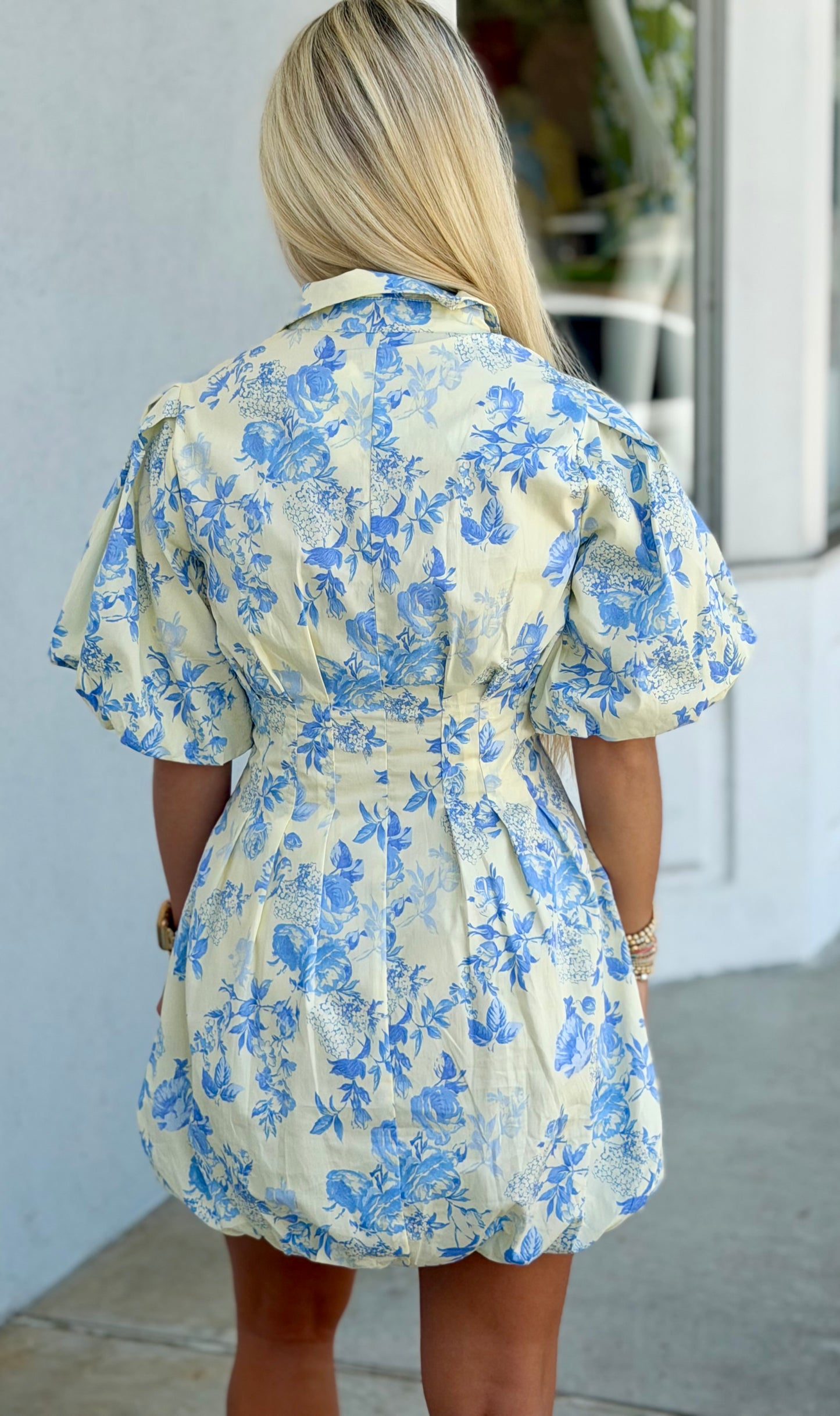 Cream Blue Dress W/Lining
