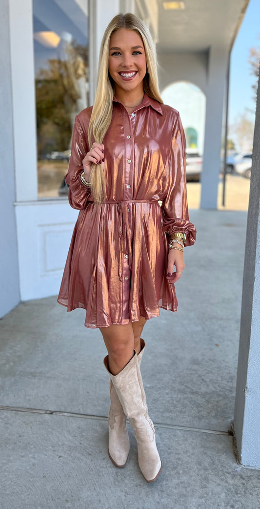 Shimmer Button Down Dress