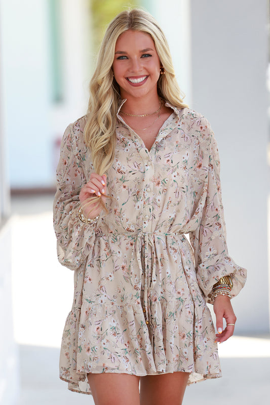 Taupe Multi Chiffon Dress