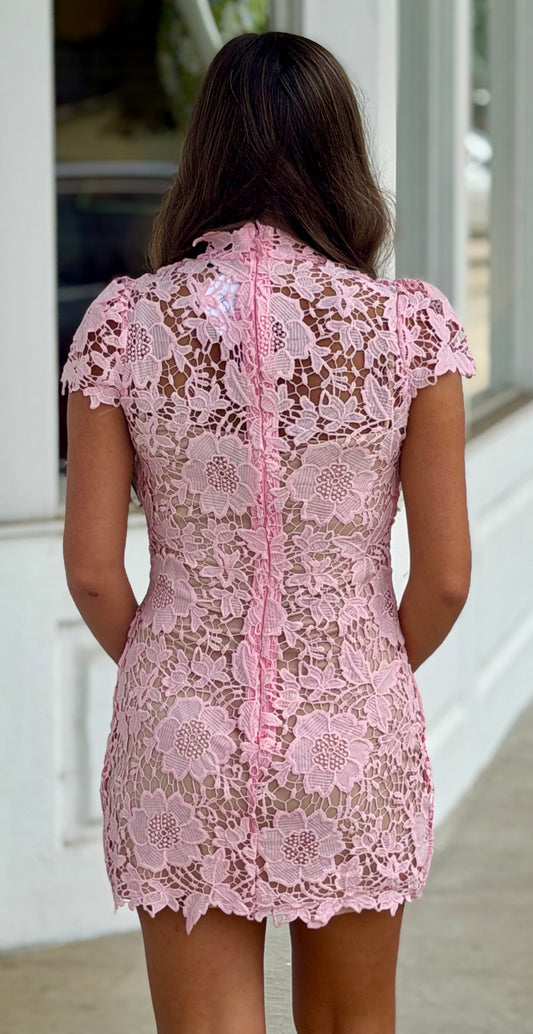 Lace Mini Dress, Candy Pink