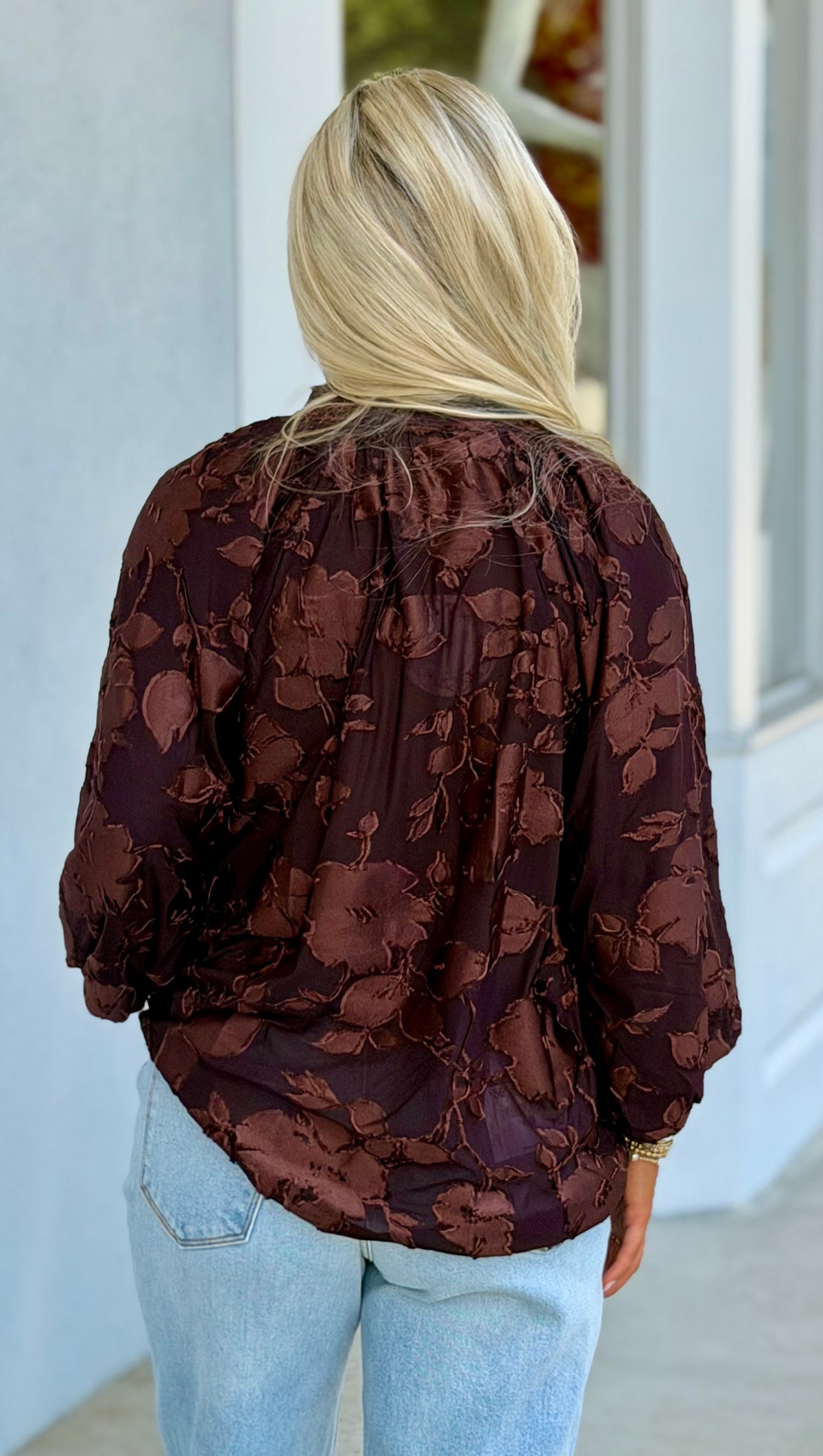 Brown Velvet Collared Top