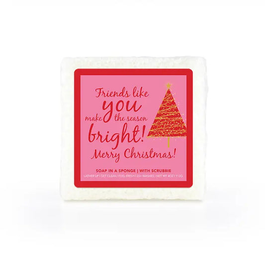Friends Like You Make The Season Bright Sponge