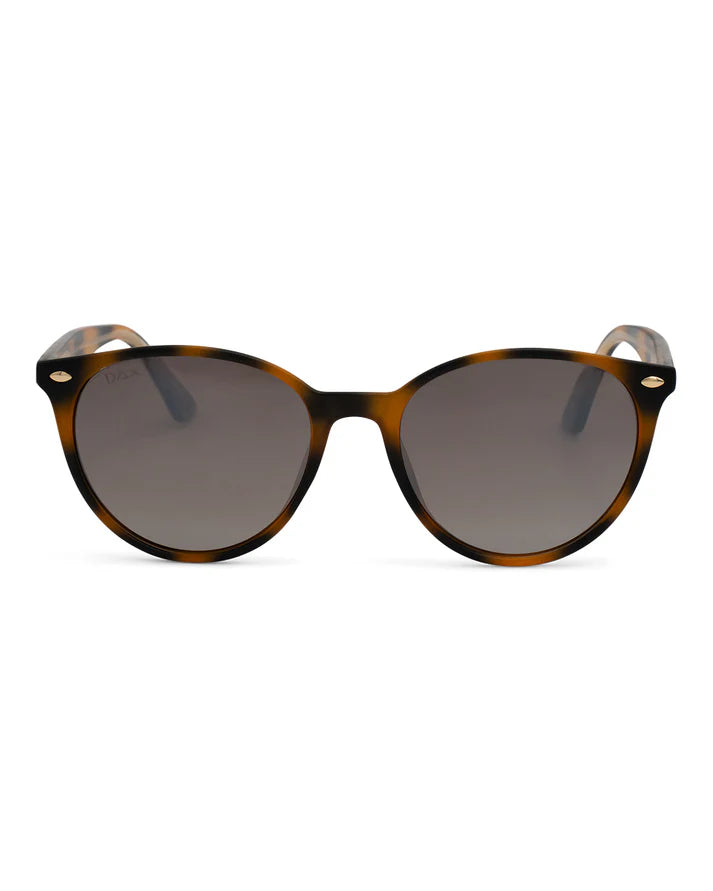 Asher Shell Sunglasses