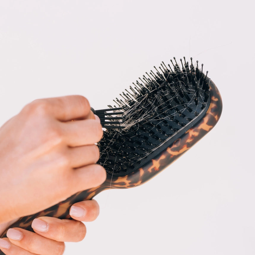 Teletie Boar Brush, Tortoise